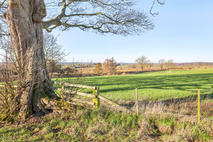 Photo 24- click for photo gallery